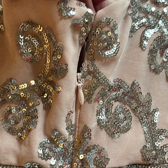 NWOT R & M Richards champagne colored sequined gown size 10 - Picture 14 of 14